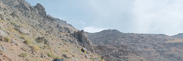 ‌محمدحسین فرجی‌'s header picture