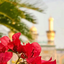 Profile picture of ‌مجتبی شورزاده‌