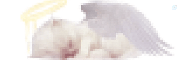 ‌ファティマ🍋‌'s header picture