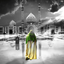 Profile picture of ‌🚩🇮🇷در مسیر مهدویت‌