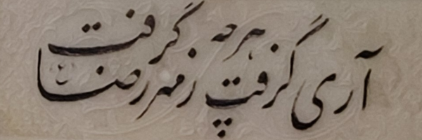 ‌امین توکلی‌'s header picture
