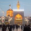 Profile picture of ‌مهدی خان زاده‌