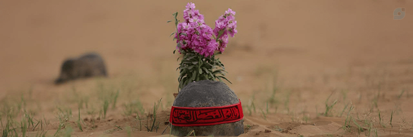 ‌حاجیه¹²⁴🇮🇷‌'s header picture