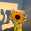 Profile picture of ‌🎀خانوم تیرانداز ! ρꫝ🎀‌