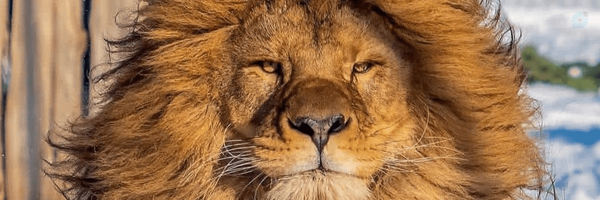 ‌علی _ محمدی‌'s header picture