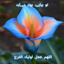 Profile picture of ‌فاطمه سادات موسوی‌