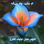 Profile picture of ‌فاطمه سادات موسوی‌