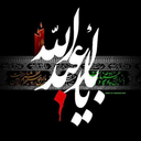 Profile picture of ‌صالح نیک سیرت‌