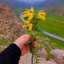 Profile picture of ‌Betiiii Ashegh‌