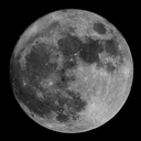 Profile picture of ‌Letche‌