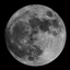 Profile picture of ‌Letche‌