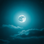Profile picture of ‌- 𝐒𝐄𝐘𝐄𝐃 -‌