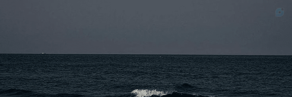 ‌𝑴𝒓. 𝑷𝒆𝒓𝒔-²⁴²⁷‌'s header picture