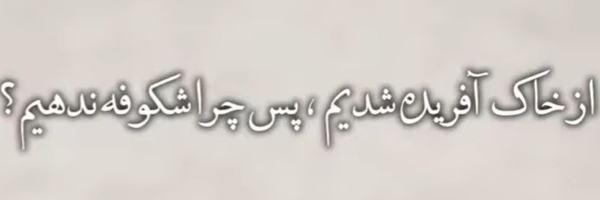 ‌✿سیده نجمه✿‌'s header picture