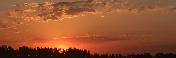 ‌Helman‌'s header picture
