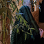 Profile picture of ‌حانون‌