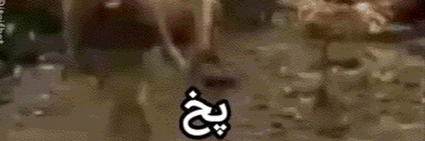 ‌Shir Tazie نیمه متصل‌'s header picture