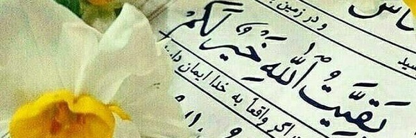 ‌محمد رضا 🇮🇷‌'s header picture