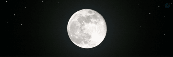 ‌ان جی‌'s header picture