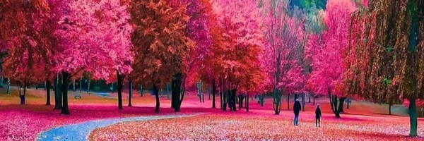 ‌محمد امامی‌'s header picture