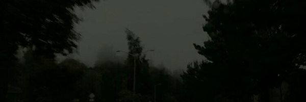‌.RAINI_‌'s header picture
