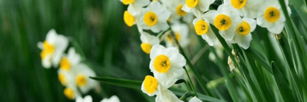 ‌آرام ایرانی‌'s header picture
