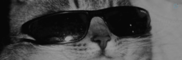‌ali‌'s header picture