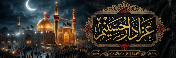 ‌z.rezaei‌'s header picture