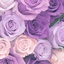 Profile picture of ‌فاطمه‌