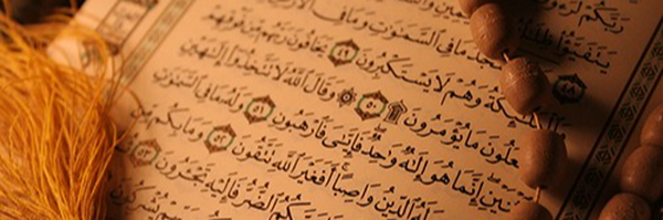 ‌سید منتظر موسوی هاشمی‌'s header picture