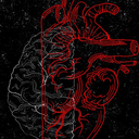 Profile picture of ‌امیر دهپرور‌