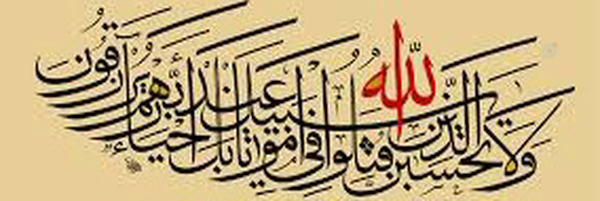 ‌محمد منظری‌'s header picture