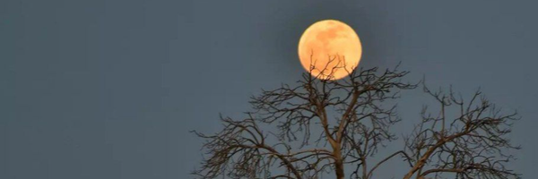 ‌مجتبی باقری ورزنه‌'s header picture