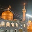 Profile picture of ‌Re8za Salimi‌