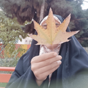Profile picture of ‌بانو محسنی‌
