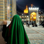 Profile picture of ‌Fatemeh Taghiyan‌