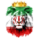 Profile picture of ‌محمد احمدی‌