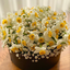 Profile picture of ‌Narges‌