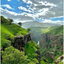 Profile picture of ‌فرید‌