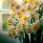 Profile picture of ‌ابوتراب:)‌