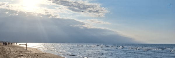 ‌لیلی‌'s header picture