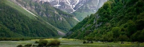 ‌محمدباقر قائدی‌'s header picture