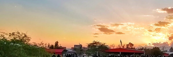 ‌امید توکلی‌'s header picture