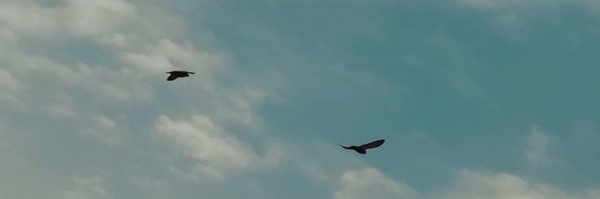 ‌مَحکُومُ بِالفَراق:)!‌'s header picture