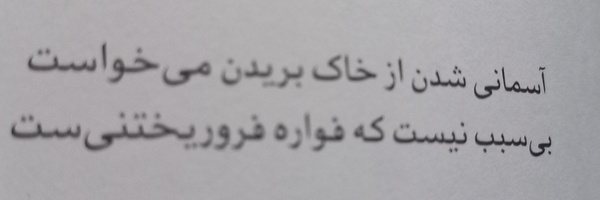 ‌مرتضی هادوی صدر‌'s header picture