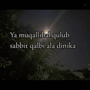 Profile picture of ‌علی زین العابدین هلیلو‌