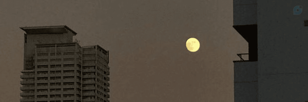 ‌بهنام شاهنگیان‌'s header picture