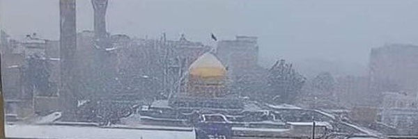 ‌علیرضا مشیدی‌'s header picture