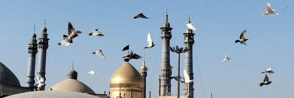 ‌عرفان علیمرادی‌'s header picture