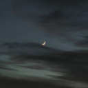 Profile picture of ‌مه‌